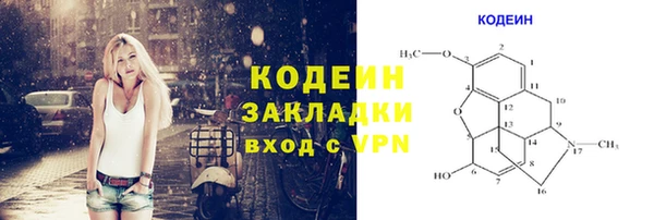прущие грибы Алзамай