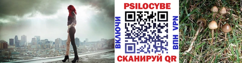 Псилоцибиновые грибы Magic Shrooms  Туринск 